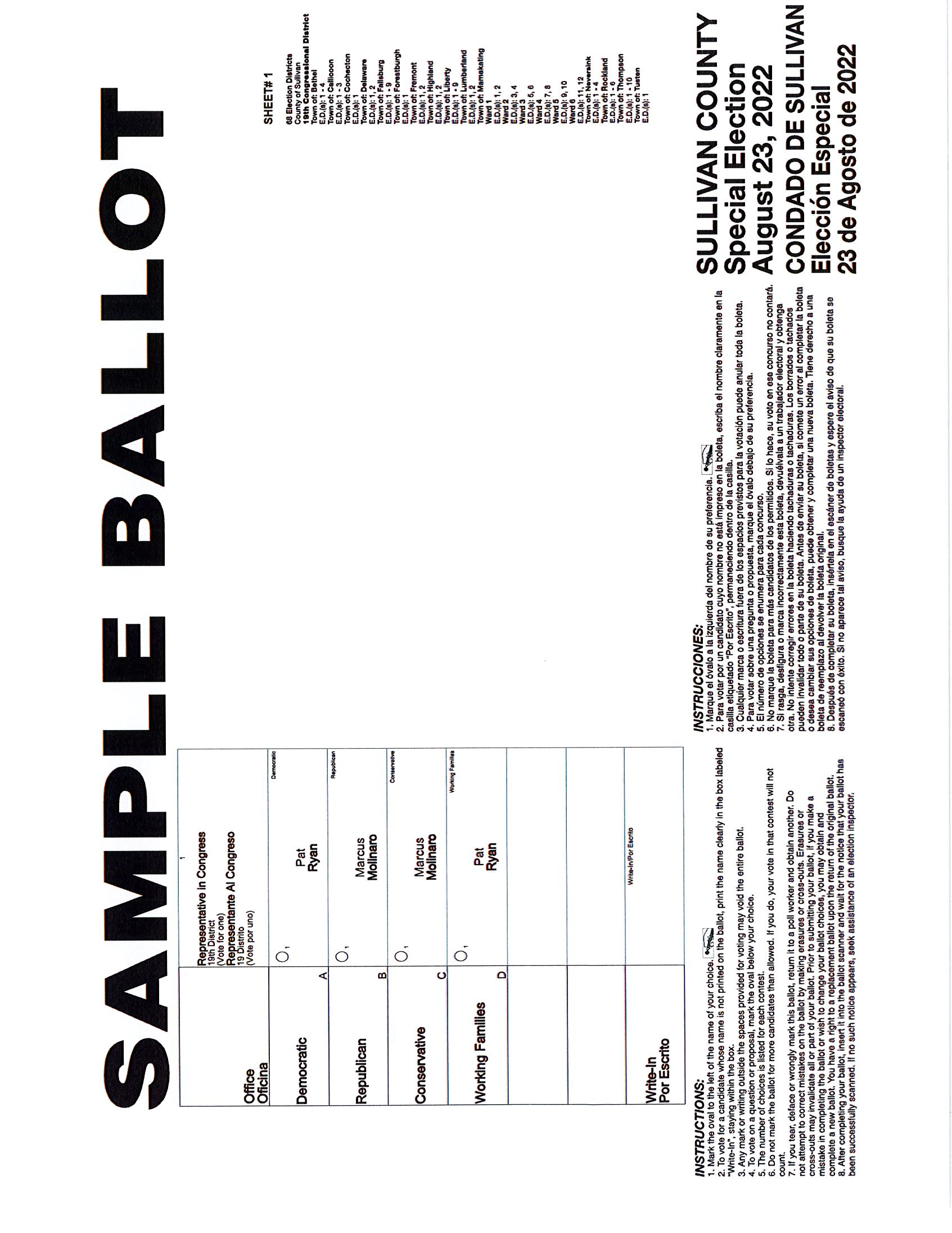 sample ballots for 8-23-22 (1)_Page_3
